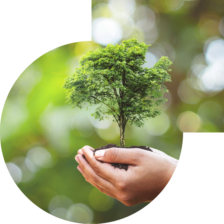 关怀人类、文化、环境与社会